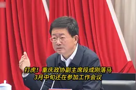 打虎！重庆政协副主席段成刚落马：3月中旬还在参加工作会议视频封面