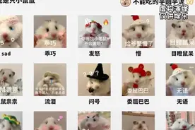 男女生收藏的表情包反差能有多大？