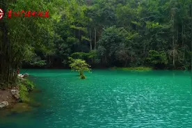 “黄小西吃晚饭”啥意思？贵州这些好山好水，千万别错过！