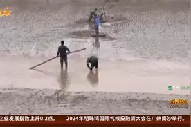 捞海鲜被困滩涂 110、119、120联合救援