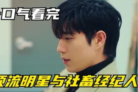 一口气看完：顶流明星与社畜经纪人，甜蜜搞笑的欢喜冤家视频封面