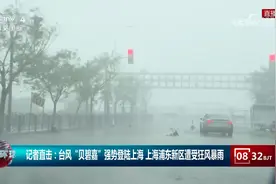 记者直击：台风“贝碧嘉”强势登陆上海 浦东新区遭受狂风暴雨视频封面
