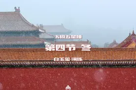 太极五星捶-冬视频封面