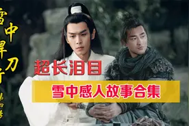 超长泪目！一口气看完雪中十三大催泪故事，个个封神！视频封面