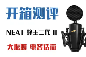【测评】又是一款网红话筒？NEAT KingBee II大振膜电容麦评测