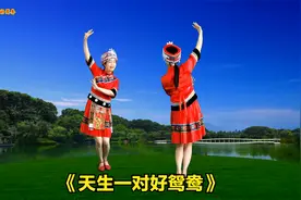 双人对跳《天生一对好鸳鸯》简单俏美，跟着就会
