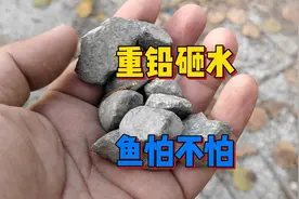 野钓发窝后鱼不怕惊扰，重铅打频率都没事？来看看真实水下实拍