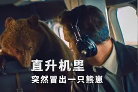 直升机里突然冒出一只熊崽，飞行员接下来的操作惊呆所有人视频封面