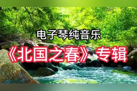 音乐与美景的完美结合：DJ电子琴纯音乐《北国之春》专辑