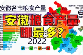 安徽粮食产量哪最多？@DOU+小助手视频封面