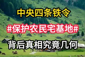 中央四条铁令#保护农民宅基地#背后真相究竟几何视频封面
