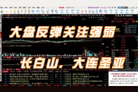 大盘反弹关注强弱，长白山，大连圣亚视频封面