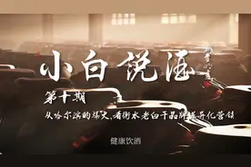 《小白说酒》第10期：从哈尔滨爆火，看衡水老白干的差异化营销视频封面