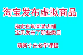 淘宝发布虚拟产品【2024最新教程】视频封面