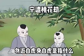 宁遭桃花劫，勿近白虎身，“白虎”是指什么，为何古人会很忌惮？视频封面