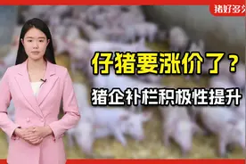 国家发改委最新公布！外购育肥利润跌到266元，猪价有望止跌企稳视频封面
