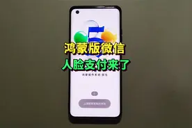 鸿蒙版微信再度上新，指纹支付人脸支付终于来了！视频封面