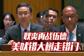 耿爽用英语回击伍德：美国不要吠错大树 找错门！视频封面
