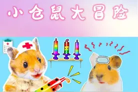 小仓鼠大冒险：仓鼠宝宝生病了，仓鼠学习正确的喂养技巧和妙招！