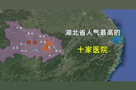 湖北省人气最高的十家医院，都分布在哪些地区？视频封面