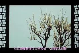 杜江峰任浙江大学校长 杜江峰简历视频封面