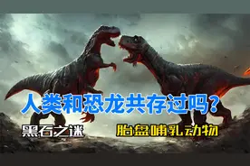 人类和恐龙共存过吗？揭开伊卡黑石骗局！胎盘哺乳动物的进化！