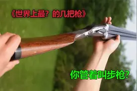 稀奇古怪的霰弹枪，最大子弹的手枪，漂亮的霰弹枪，一英寸粗的枪视频封面