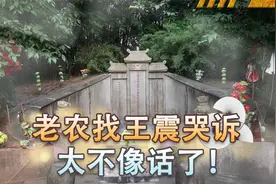1977年开国上将王震贸然上门拜访，老农见状跪地痛哭：太不像话了视频封面
