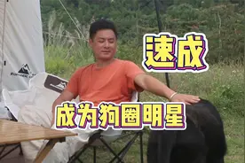 得此法，迅速搞好人狗亲和，让你成为犬圈明星