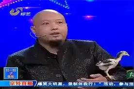 杀猪哥还没表演就给评委乐够呛，朱之文：最出彩的就是说话视频封面