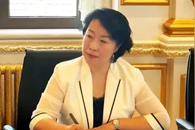 官方披露：施佰芝涉嫌严重违法犯罪视频封面