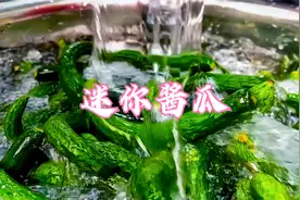 风味美食，酱油，小黄瓜，农村里的老味道，腌制传承三代人。视频封面