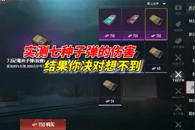 和平精英雪龙：实测七种子弹的伤害，结果你绝对想不到