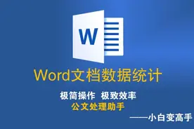 Word文档数据统计      #word教程  #wps教程 #数据统计视频封面