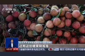 荔枝上市季 小心“荔枝病” 一天最多吃多少颗才能避免“荔枝病”视频封面
