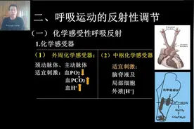 5呼吸3-3-呼吸运动调节视频封面