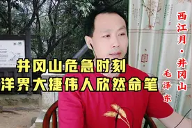 敌军围困万千重，我自岿然不动。伟人诗词之《西江月·井冈山》视频封面