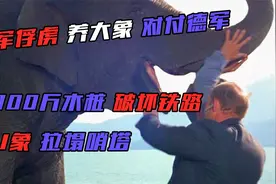 英军俘虏养大象对付德军，推300斤木桩破坏铁路，大象拉塌哨塔视频封面