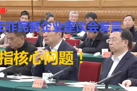 任正非民营企业座谈会发言，直指核心问题视频封面