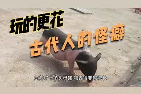 古代的性僻异物癖-刘郎爱媚猪