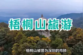 梧桐山被誉为深圳的市肺，是深圳市最高的山峰，深圳网红打卡地！视频封面