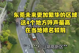 东莞未来更加繁华的区域，这4个地方呼声最高，在当地排名较前视频封面