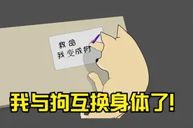 我与狗互换身体，会发生什么搞笑剧情......视频封面