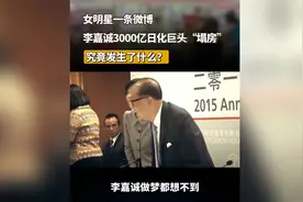 李氏商业帝国的根基会被动摇吗视频封面