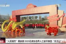 “人民城市”展新颜 2025名浦东各界人士新年攀登“双子山”视频封面