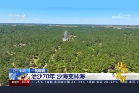 辽宁彰武：治沙70年，曾经的荒漠沙海变身绿洲