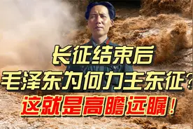 长征结束后，毛泽东为何力主东征？这就是高瞻远瞩！视频封面