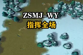 天云解说真三：罕见！饭团ZSMJ指挥全场，思路非常清晰！视频封面