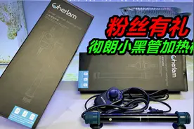 夏季养鱼需不需要用加热棒，需要的话，抽2根送粉丝视频封面
