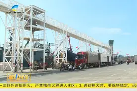 台风“摩羯”将来袭  三亚渔船已回港避风视频封面